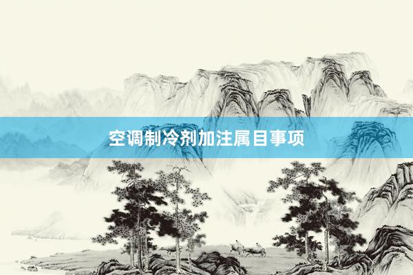 空调制冷剂加注属目事项